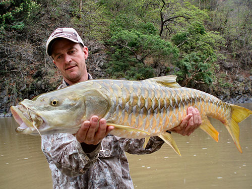 Fly Fishing in the Presence of a Man Eater – Mahseer in India” – Jeff  Currier