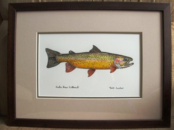 Trout, Salmon and Char – Jeff Currier