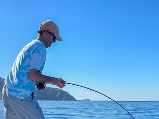 First New Species of 2021 - Yellowtail On the Fly – Jeff Currier